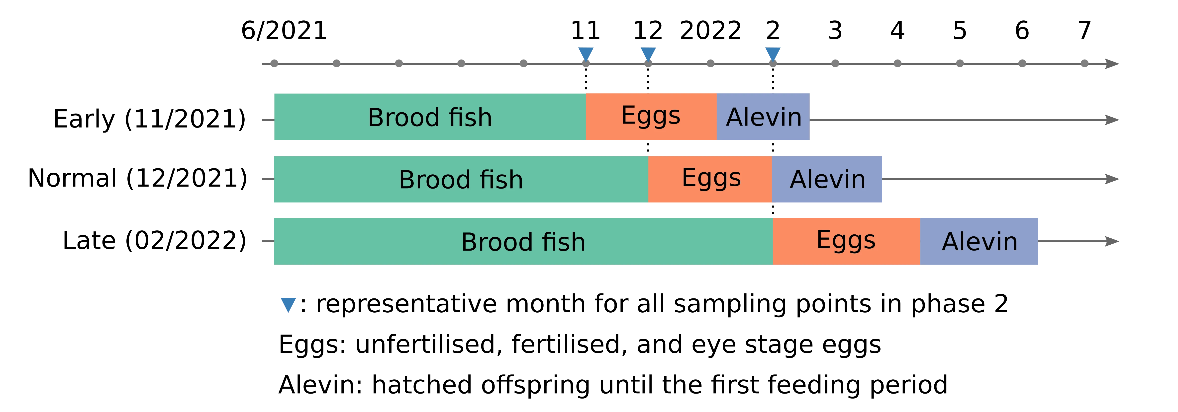 Phase 2: Spawning and offspring in freshwater